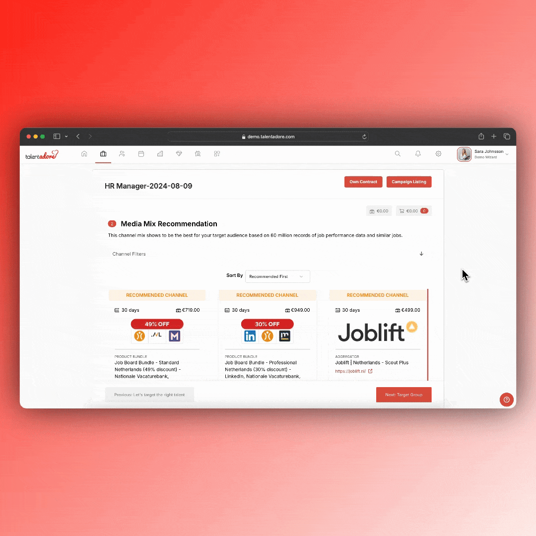 Choosing recruitment channel media mix in the Job Portal Hub